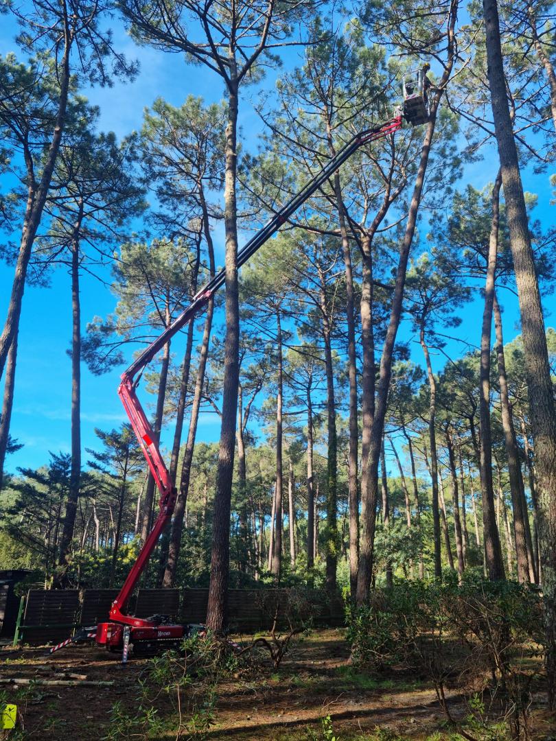 Débroussaillage Lacanau