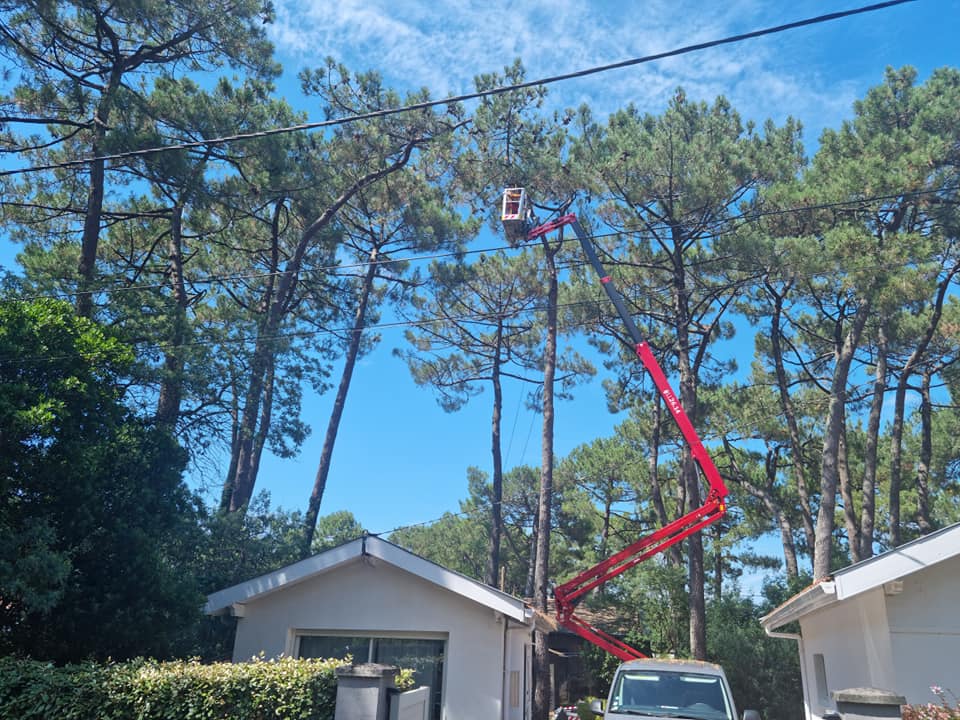 Abattage Arbre Lacanau